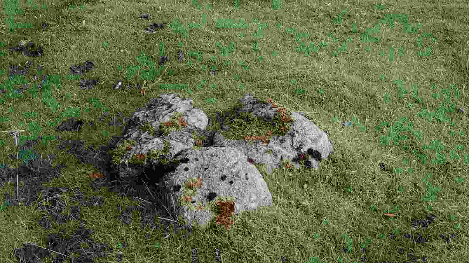 20220825_kalmott_cairn_circle2