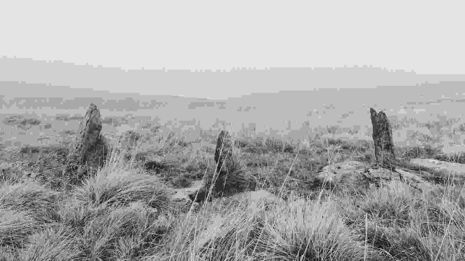 20241029_swarth_fell_stone_cricle_001