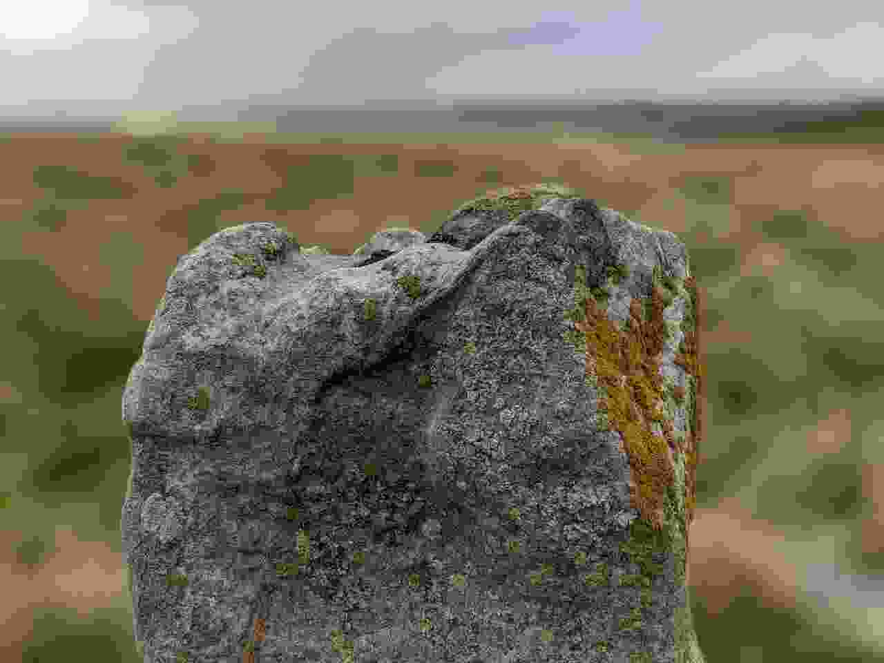 boundary_marker_2