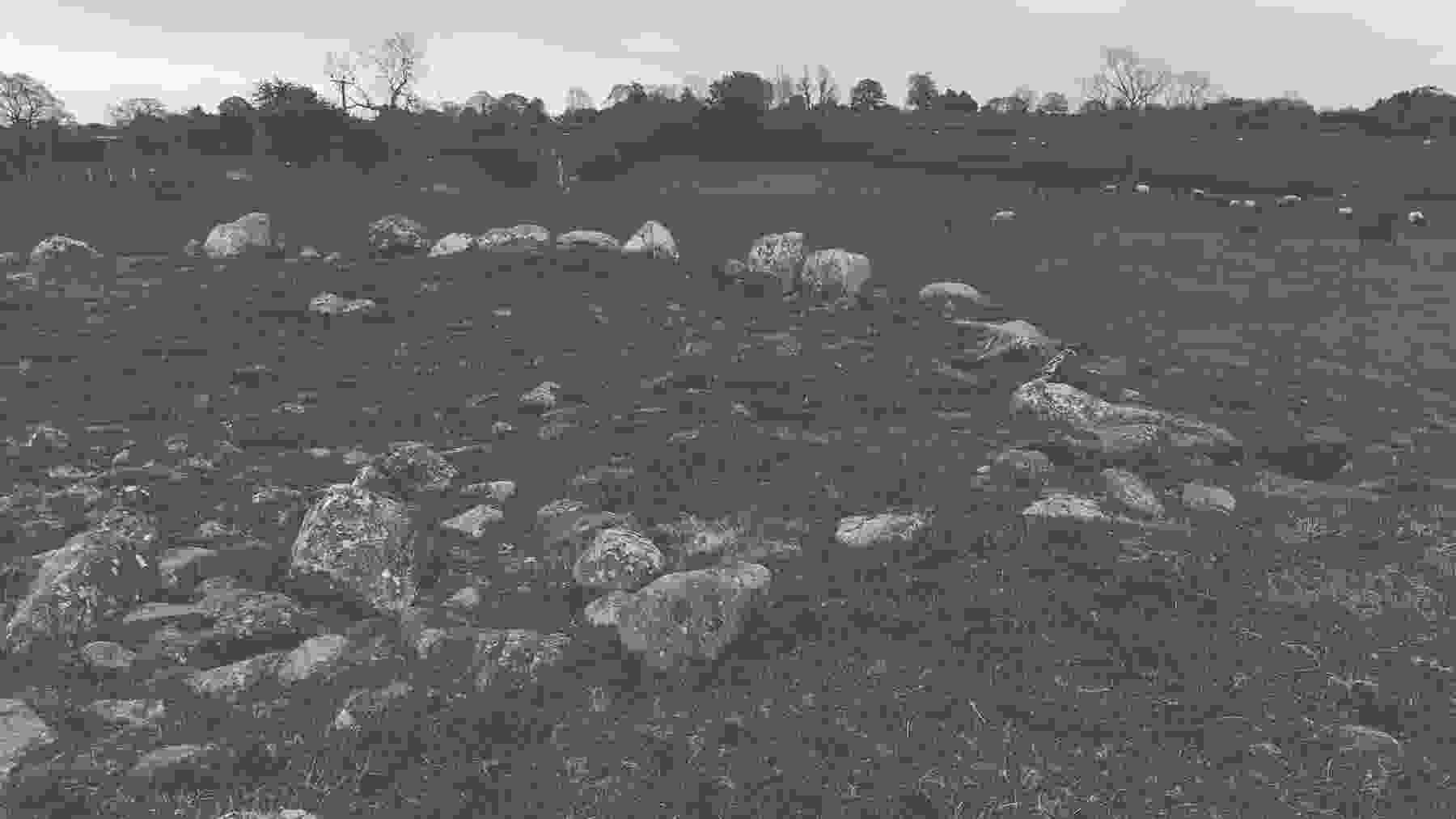 glassonby_stone_circle_002