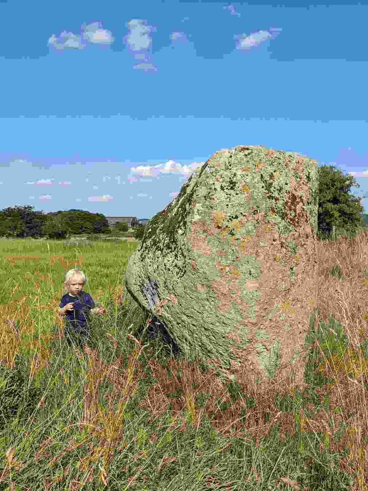 sewborwens_4