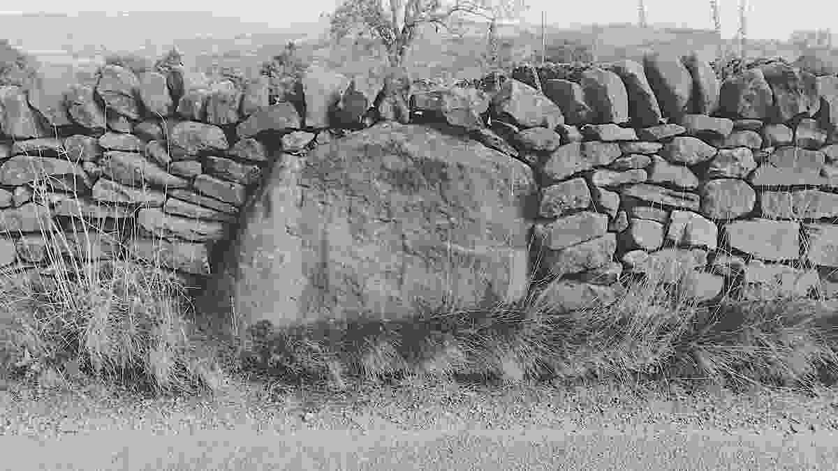 20240928_lark_hill_002