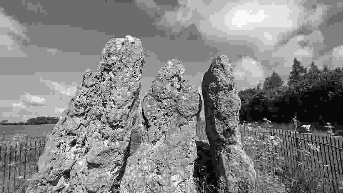 whispering_knights_1