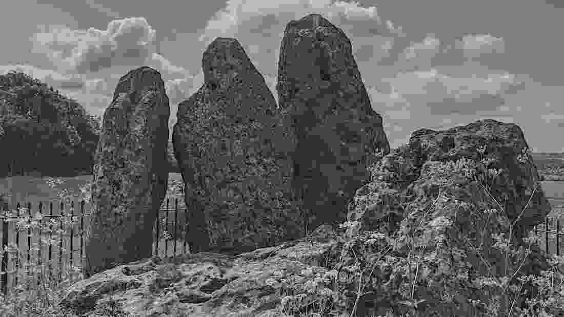 whispering_knights_2