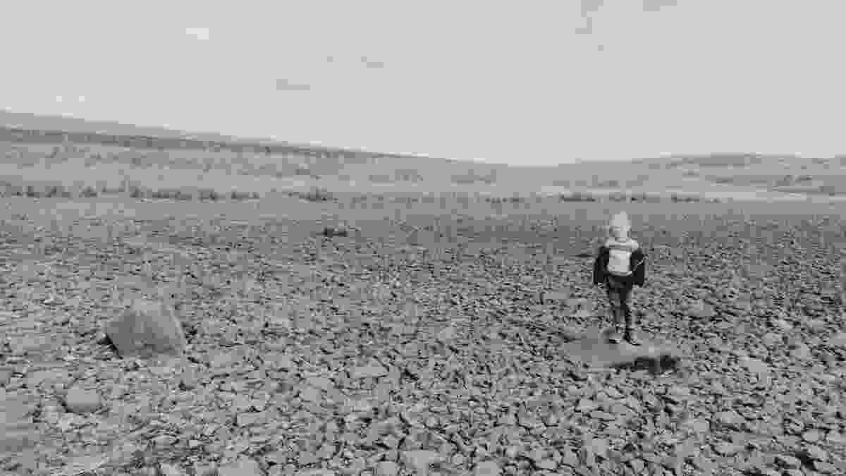 P for scale. The middle stone from the 1902 photo below is missing