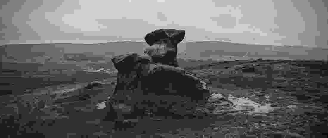 basin_stone_1