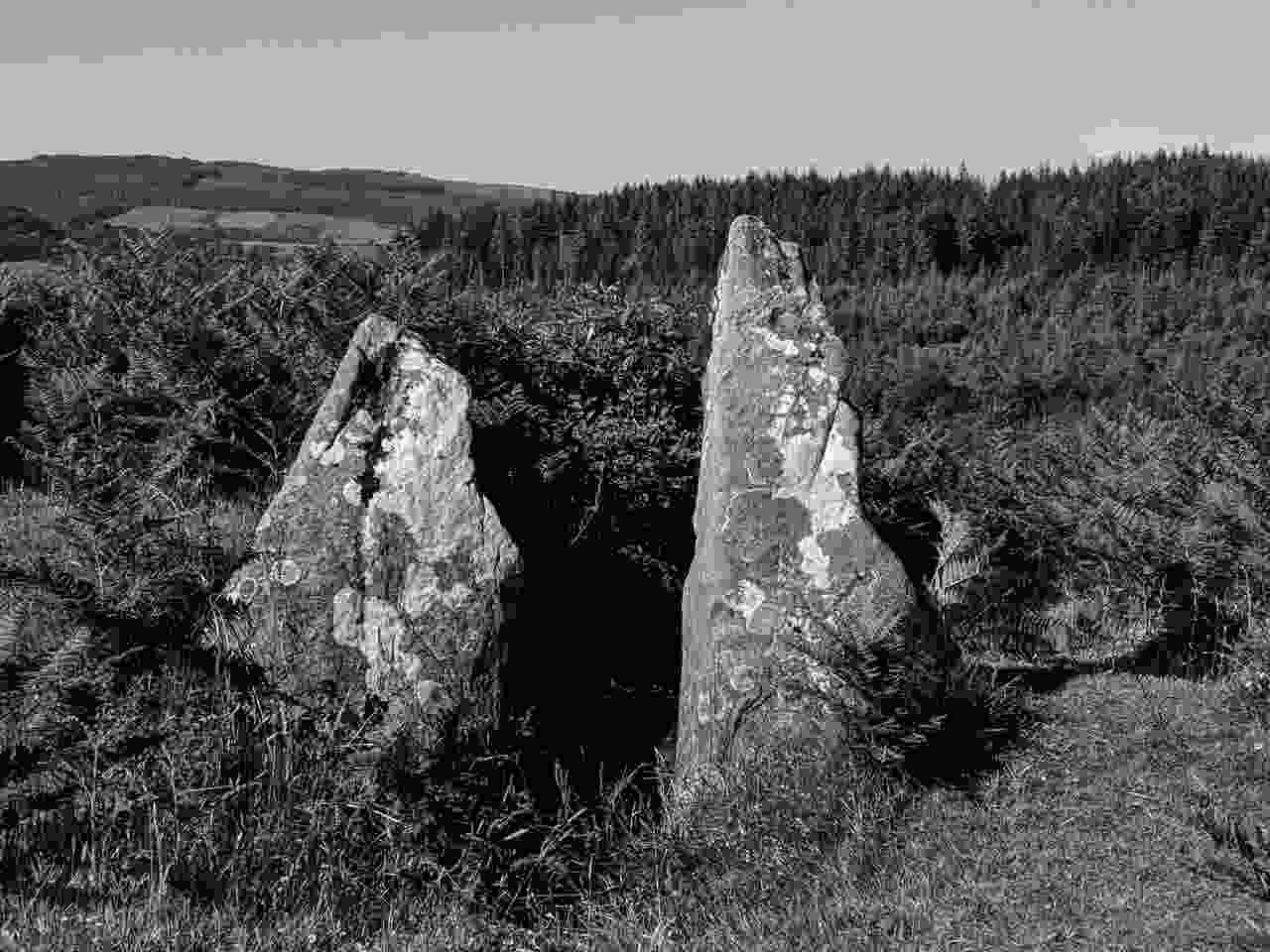 Meallachs Grave