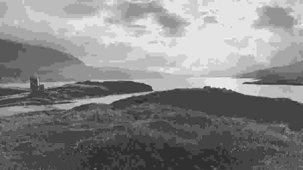 20240529_ardvreck_lento_orl_mono_standard_a142_1717009763