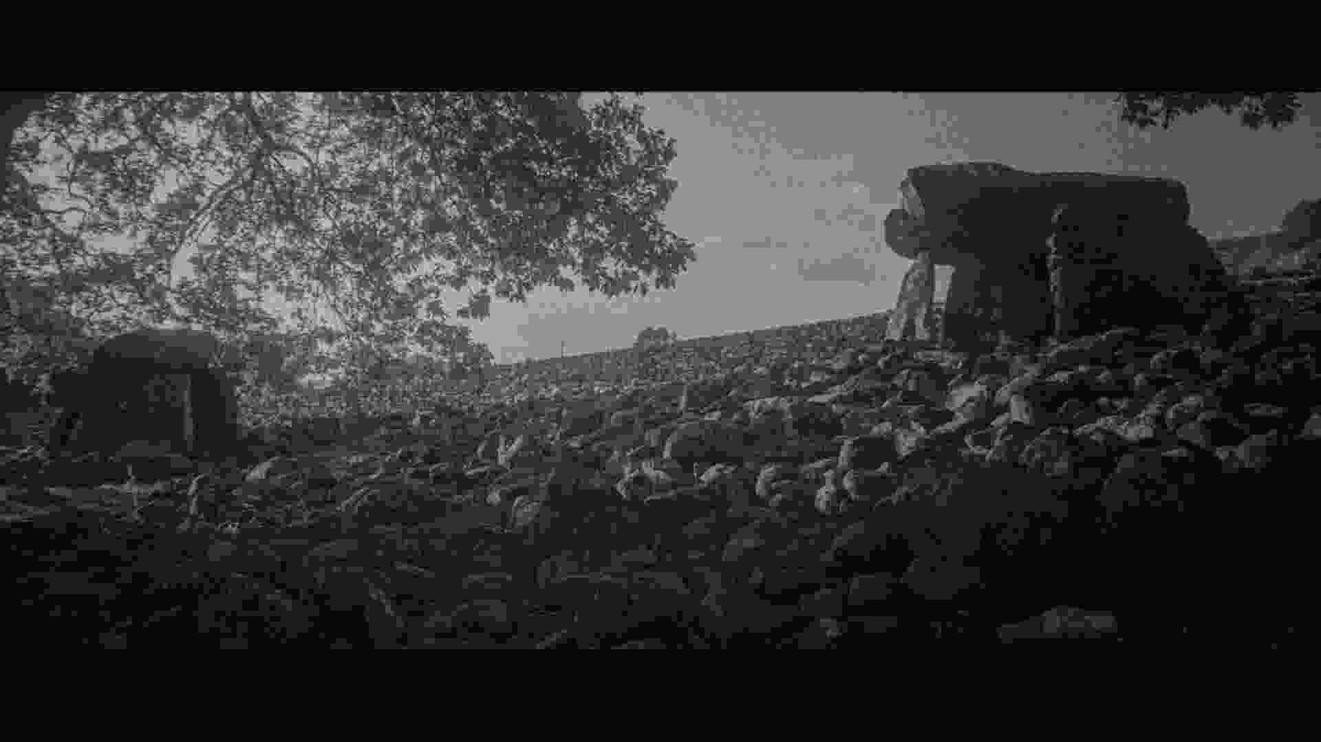 dyffryn_ardudwy_1